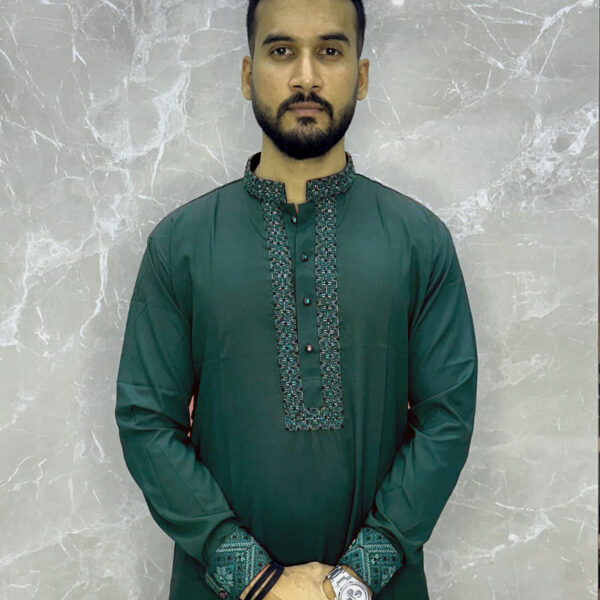 Salaar Regular Fit Karchupi Panjabi